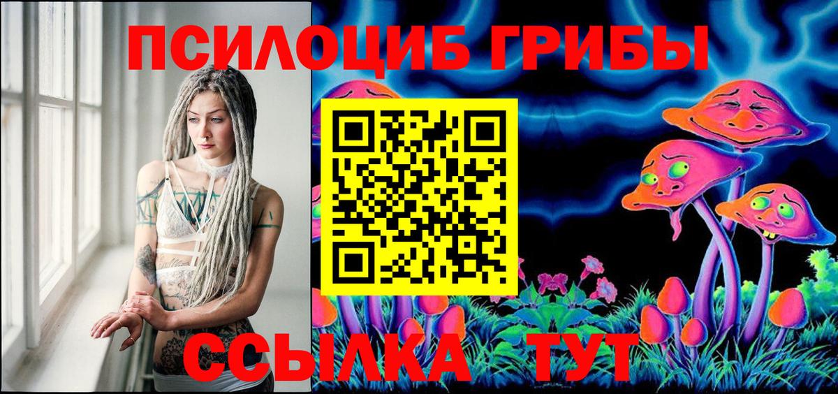 Псилоцибиновые грибы Psilocybe  Вход с VPN  Галлюциногенные грибы Psilocybine cubensis  Белогорск 